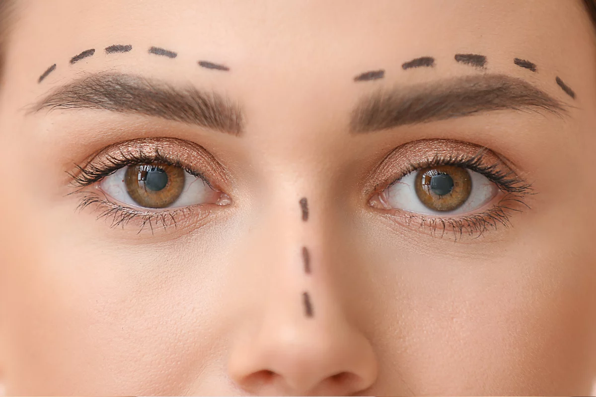 Face Contour